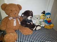 Five stuffed animals arranged in a row showing size and condition