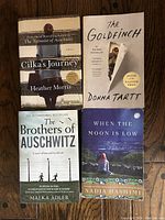 Top view of four fiction books: Cilka's Journey, The Goldfinch, The Brothers of Auschwitz, When the Moon is Low arranged side by side on wood surface.