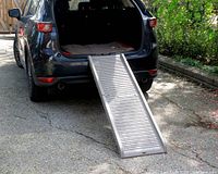 Foldable gray dog ramp extending from open car trunk to ground on pavement, showing the ramp's length and surface texture.