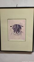 Framed print of a cougar by Randy Fehr, measuring 14" x 11"