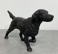 Front three-quarter view showing textured fur detail and raised front paw.