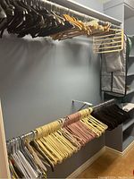 Photo showing various hangers including wire, wooden, and plastic on hanging rods along a gray wall with garment bags hanging on the right side.