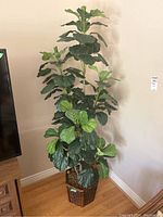 Tall faux plant with large leaves in woven rattan planter on wood floor near wall.