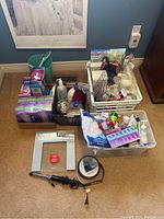 Full lot overview showing toiletries, curling iron, framed magnifying mirror, shower caddy, waste basket, and various personal care items organized in baskets and on floor.