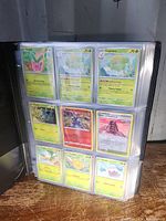 Black binder open showing a page of 9 Pokémon cards including Eevee, Fallarbor Town, Vigoroth, and others.