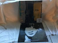 Front view of two vinyl albums by Sly Fox, showing one album cover with stylized face art and the other with a photo of a woman's face.