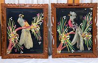 Pair of two framed real feather bird art pieces on black background, showing birds perched amidst painted floral decorations