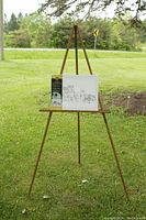 Wooden tripod artist easel displayed outdoors on grass, showing full structure with three legs and adjustable horizontal canvas support.