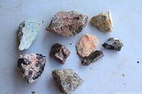 Ten Canadian rocks and mineral specimens arranged on a light surface showing variety in color and texture.
