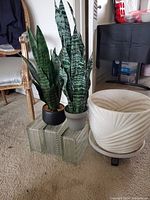 Photo shows a white ceramic plant holder with diagonal textured lines on a wheeled plastic plant stand; two fake spider plants in black and grey plastic pots, and one small fake plant in a white porcelain planter.