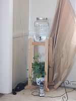 Photo of vintage glass water cooler with embossed lettering on wooden stand with a potted plant underneath, situated near a corner of a room.