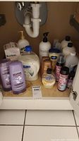 Full view inside cabinet showing assortment of personal care items including shampoo, Kotex pads, lotion bottles, hand soaps.