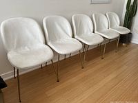 Five modern white vinyl dining chairs with gold-colored metal legs arranged in a row on wooden floor against a white wall