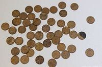 Overview of 50 scattered Wheat pennies showing obverse and reverse sides.