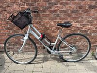 Full left-side view of the bicycle and basket