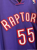 Front side of the purple Raptors jersey showing the number 55 and team name.