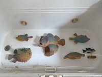 Top-down view showing all six ceramic fish sculptures in bathtub for size reference and condition assessment
