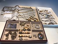 Overview of gold-tone chains on white tray and assorted jewelry in compartment tray
