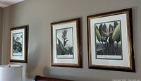 Three matching framed floral botanical prints hanging on a beige wall, showing overall appearance and framing style.