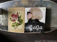 Top-down view of the two coffee table books showing covers: 'The Frampton Flora' and Lady Gaga biography