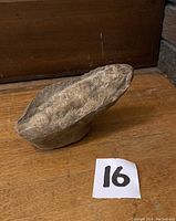 Front angle view of the fish fossil showing detailed surface features and texture on wooden surface.