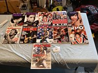 Full view of all 11 collectible music magazines arranged on a white sheet, featuring covers with Prince, The Who, Guns N' Roses, Bruce Springsteen, and Tom Petty
