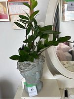 ZZ plant inside a grey bust-shaped planter placed on a white surface near a mirror and wall decorations.