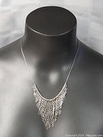 Full view of the silver necklace displayed on a black bust, showing the necklace's length and chain fringe.