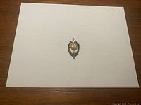 Front view of the KGB commemorative federal security service medal badge placed on a white sheet on a wooden surface.