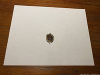 Front view of the USSR badge on a white paper background, showing front enamel design and colors.