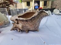 Beige seashell-shaped planter showing detailed texture and ridges