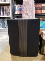 Front view of the Paradigm bass speaker placed on a carpeted floor, showing a black fabric grille with a vertical ribbed stripe in the middle.