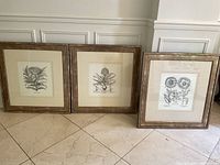 Full view of three framed botanical prints leaning on wall on marble floor.