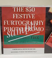 Photo of a festive styled certificate advertising a $50 pet photography session including 5 edited digital photos, redeemable at Furtography Kingston.