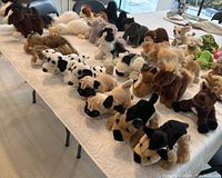 Wide view of 39 plush stuffed animals laid out on a white cloth covering table including various animal types like dogs, goats, horses, and wild animals.