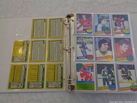 Photo of binder page front and back showing 9 hockey cards, fronts have colorful images and names, backs have player stats.