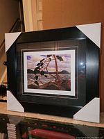 Framed Tom Thomson fine art print titled 'West Wind' showing the full front view with protective corners on frame.