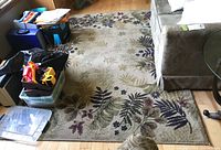 Area rug placed on wooden floor underneath a couch and near storage boxes, displaying the full patterned surface with leaf and floral designs.