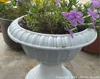 Photo showing one white urn planter with fluted pattern and decorative rim, containing soil and flowers.