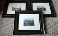Three framed prints by Lynn Wigginton arranged on carpet, showing artwork and black frames with white mats.
