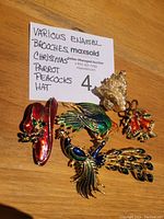 Photo showing various enamel brooches including a holiday shoe, parrot, peacock, and hat with pearls