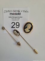 Full view of both cameo items: brooch and stick pin with cameo