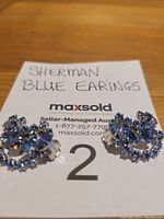 Front view of the blue rhinestone clip-on earrings showing sparkle and curved leafy design.