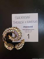 Brooch and earrings front view showing iridescent rhinestones and leaf design