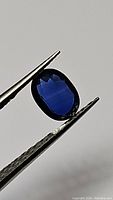 Deep royal blue oval faceted Ceylon sapphire held in gem tweezers showing color and clarity under white lighting.