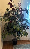 Full view of vintage plastic ficus artificial tree showing color variations in leaves and black planter pot