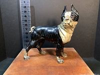 Front view of cast iron Boston Terrier door stop with measuring scale showing height around 10 inches; visible paint wear on legs and body.
