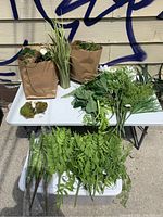 Overview of lot with various greenery including brown paper bags of genuine moss, assorted plastic leaves and herbs, and some artificial flowers on tables outside