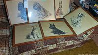 Six vintage framed dog prints by Lucy Dawson displayed on a couch, showing different dog breeds in wooden frames.