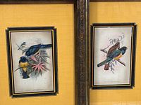 Two framed bird prints displayed side by side, showing the bronze and gold painted frames and intricate matting